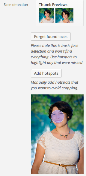 WordPress Face Detection