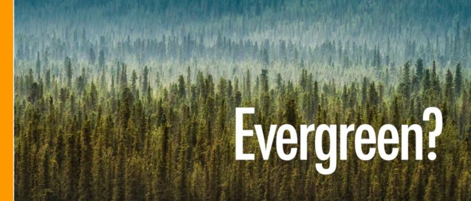 Evergreen Content for Photographers