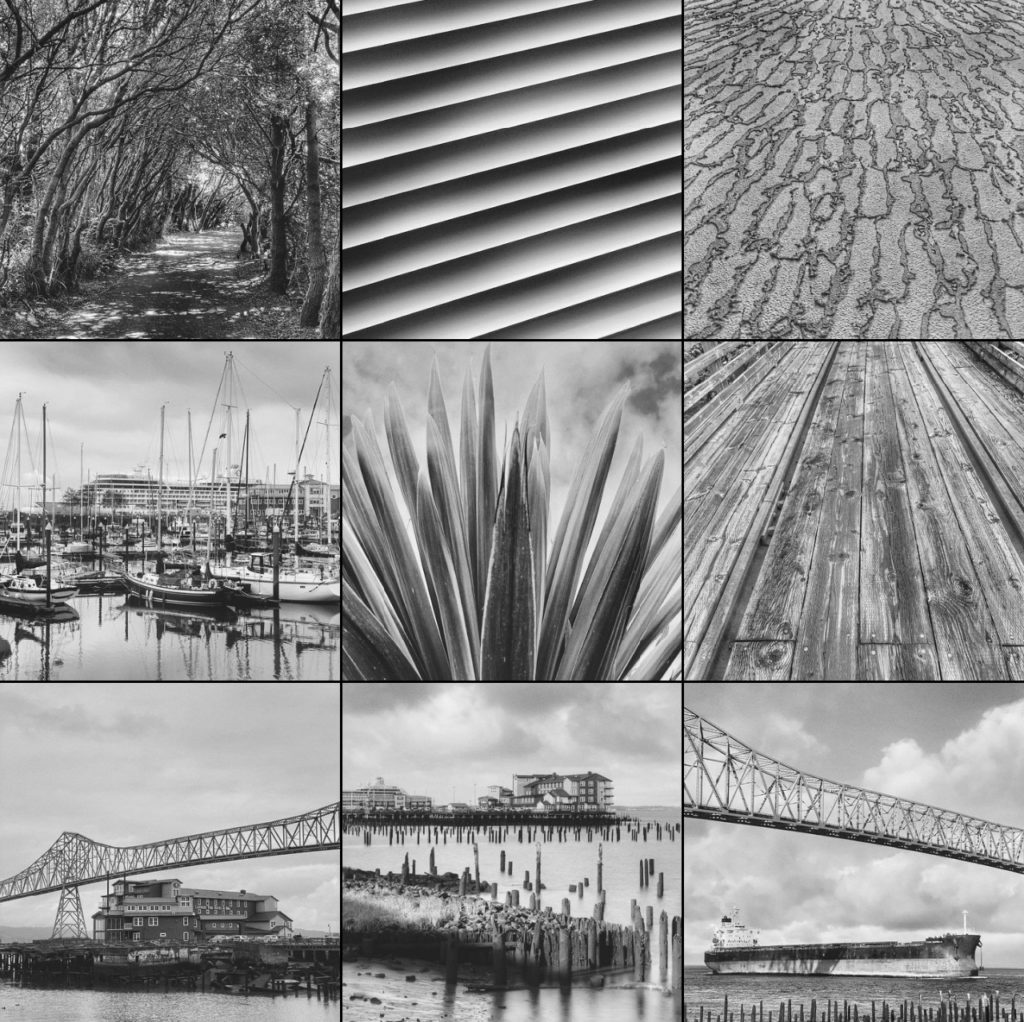 The 2021 Instagram Algorithm finds my still photos boring