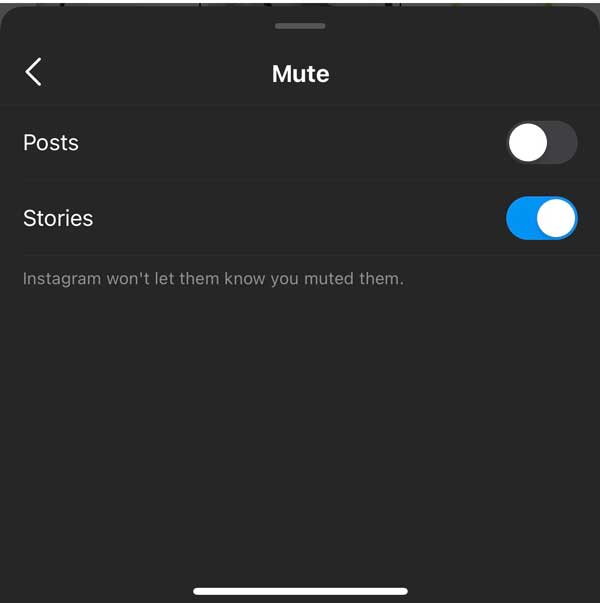 Unfollow Instagram Stories or Posts