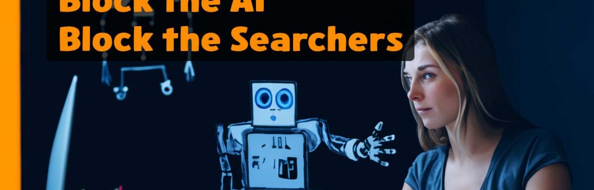 Blocking the AI is Blocking the Searchers